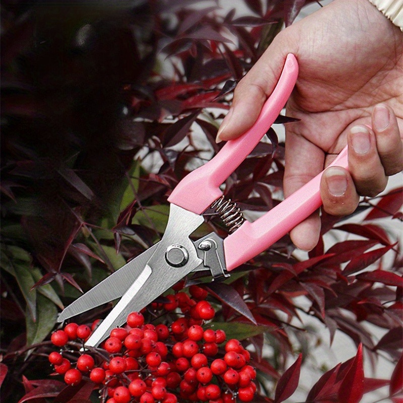 2 Pack Flower Scissors(Pink),  - Pinking Shear Blade review and price