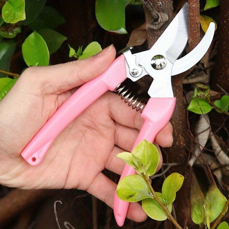 2 Pack Flower Scissors(Pink),  - Pinking Shear Blade review and price